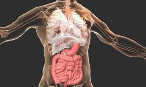 007046600_1641971545-Cara-Alami-Menjaga-Kesehatan-Pencernaan_11zon