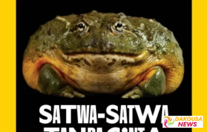 Estetika Al-Quran Nutrisi Jiwa