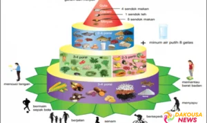 diet gizi seimbang