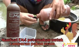 Tempat Pengolahan Pakan Ternak