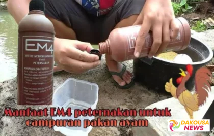 Tempat Pengolahan Pakan Ternak